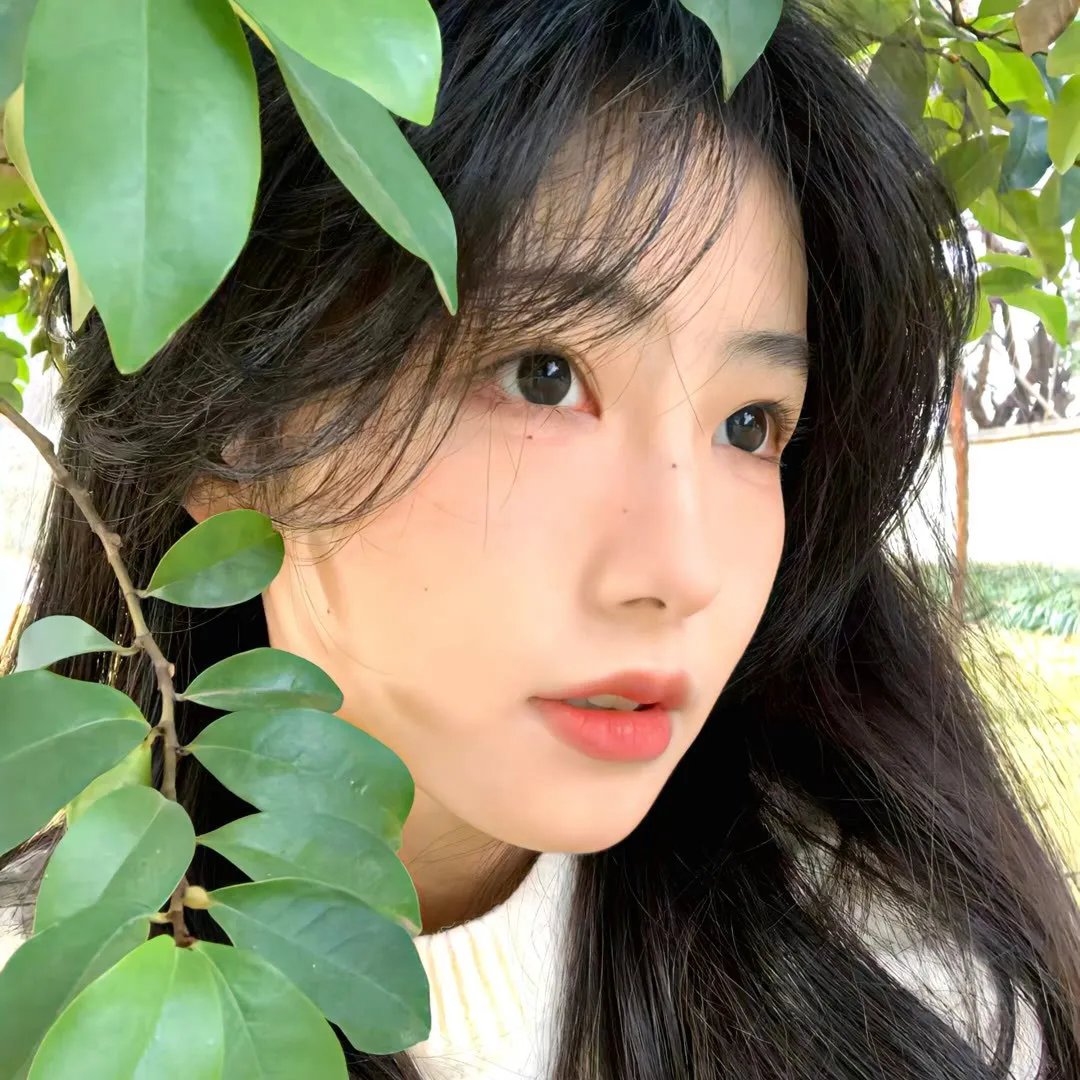 女巫封面